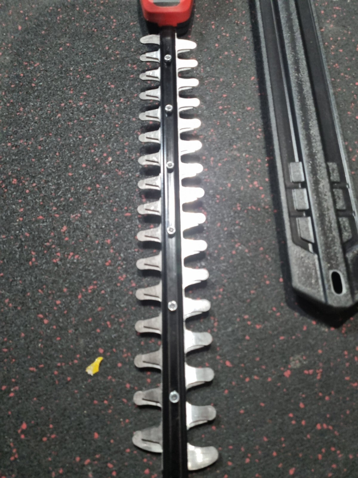 45031268
